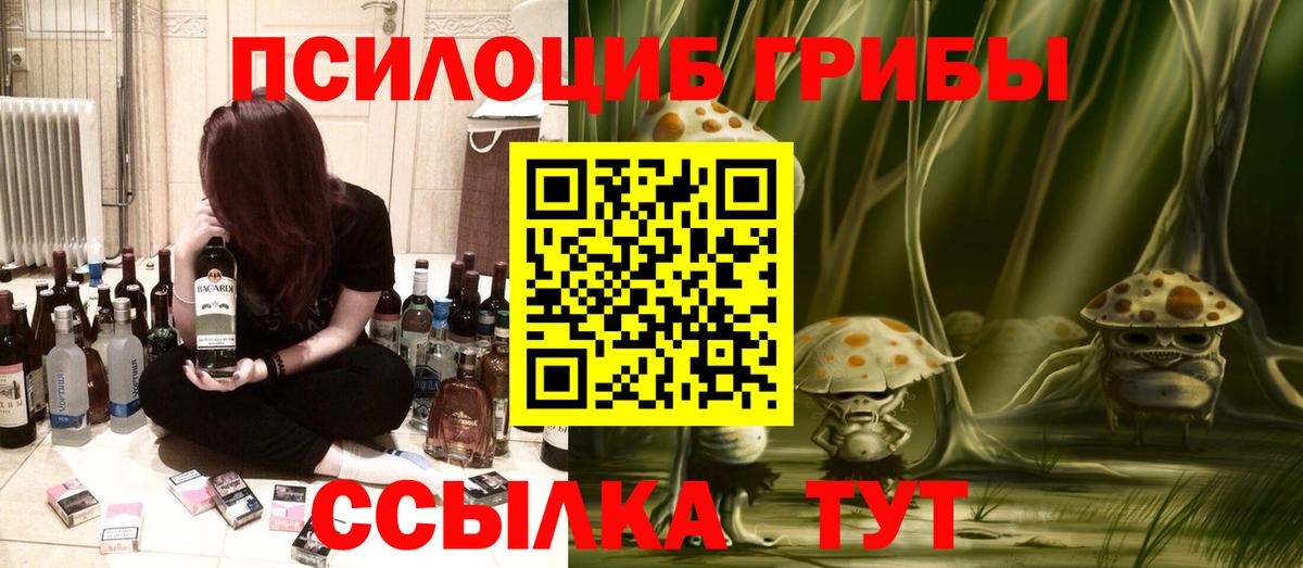 закладка  Псилоцибиновые грибы GOLDEN TEACHER  Псилоцибиновые грибы мицелий  Вход с VPN  Ростов-на-Дону 